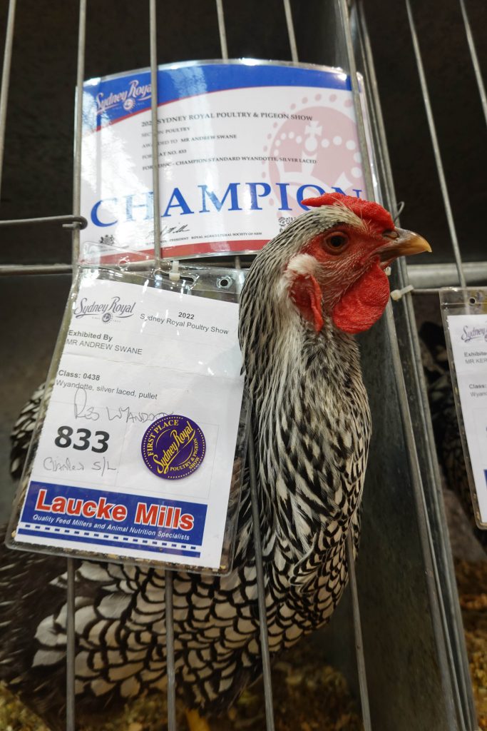 Sydney Royal Easter Show 2022