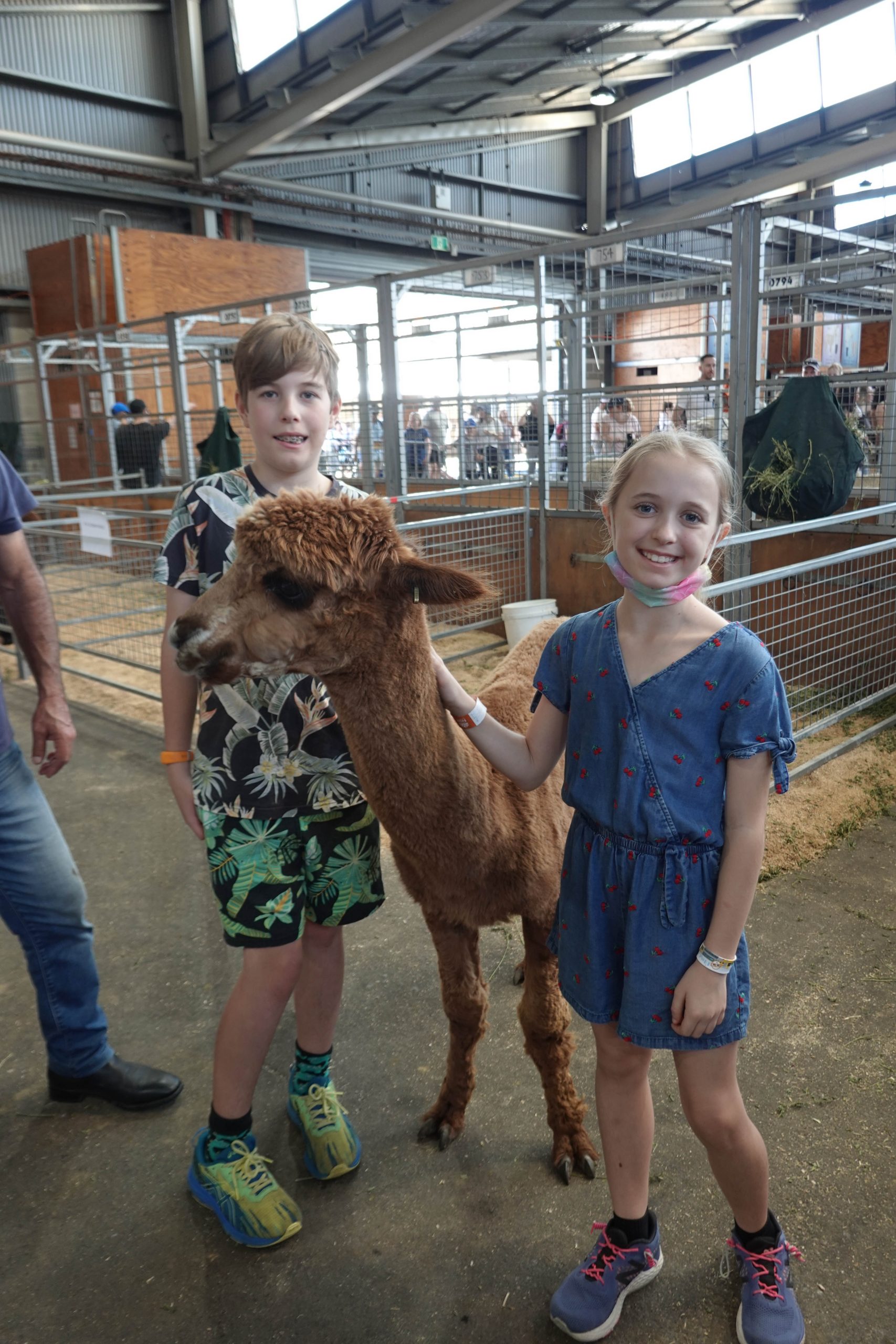 Surviving the Sydney Royal Easter Show, 2022 Seniors of Sydney